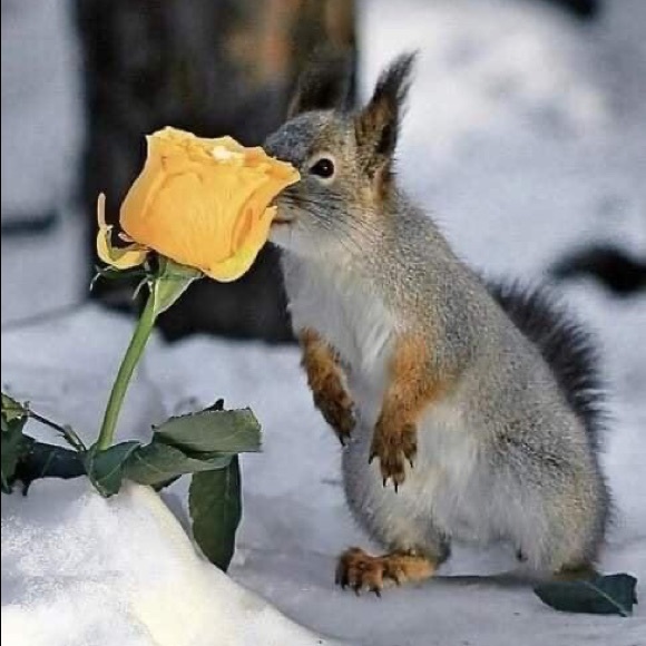 Meet your Posher, Rhonda - Picture 14 of 16